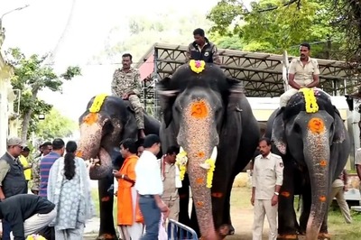 Mysuru Dasara 2024: Weight-bearing Training For Elephant Abhimanyu Starts