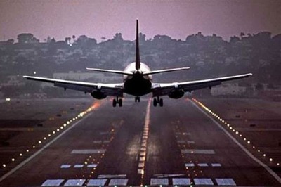 Rabbits Found on Ahmedabad Airport Runway, Collision of Planes Averted