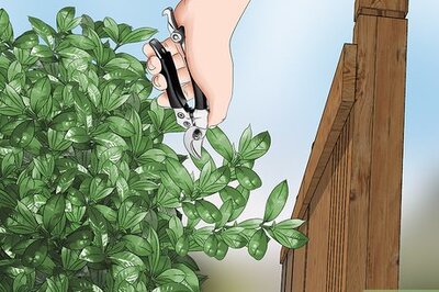 How to Paint a Fence