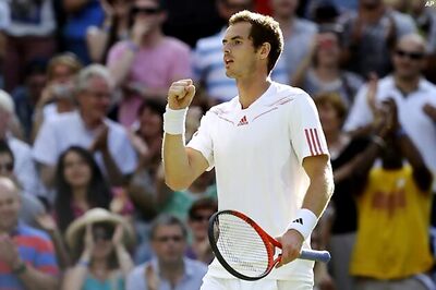 Murray, Roddick, Ferrer reach 3rd round