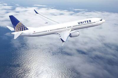 Giant Rabbit Died After United Staff Put it in Freezer: Report