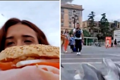 Seagulls Snatch Sandwich From Woman's Hand In This Terrifying Yet Hilarious Video