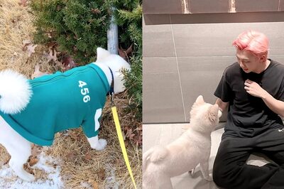 BTS: RM's Dog Goes for a Walk in Squid Game Sweater, ARMYs Already Predicting His Role in Season 2