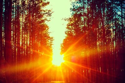 Aaj Ka Panchang, 6 December, 2023: Tithi, Vrat, Rahu Kaal, and Other Details