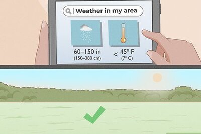 How to Plant Durian Seeds