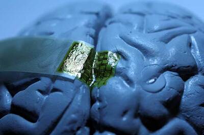 Purple fruits keep Alzheimer's at bay