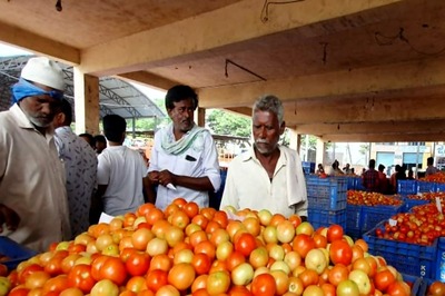 'Tomato Tombola' Turns Karnataka Farmers Crorepatis as Prices of Red Hot Crop at All-time High