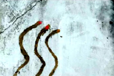 Nag Panchami 2024: Rituals, Timings And The Importance Of Snake Worship