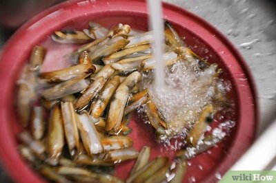 How to Clean a Razor Clam