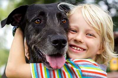 Dog Lover's Take Note, Your Furry Friend May Get Affected by Your Stress