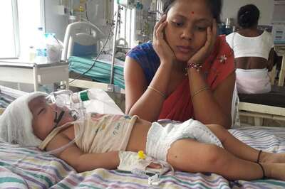 Monsoon Diseases: Here are The Common Causes That are Responsible for Japanese Encephalitis