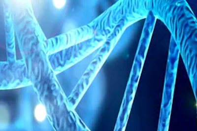 'Infringes Liberty, Privacy': SC Says Can't Force Unwilling Party to Undergo DNA Test