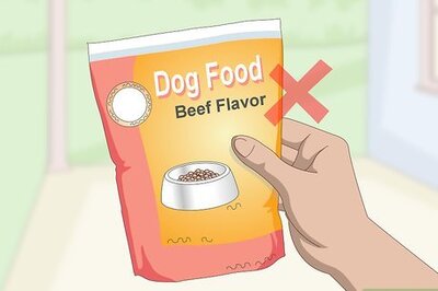 How to Pick the Best Dog Food