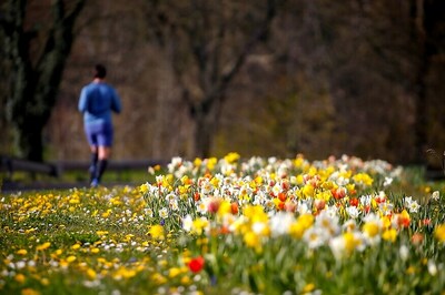 Covid-19 to Have 'Profound and Pervasive Impact' on Global Mental Health