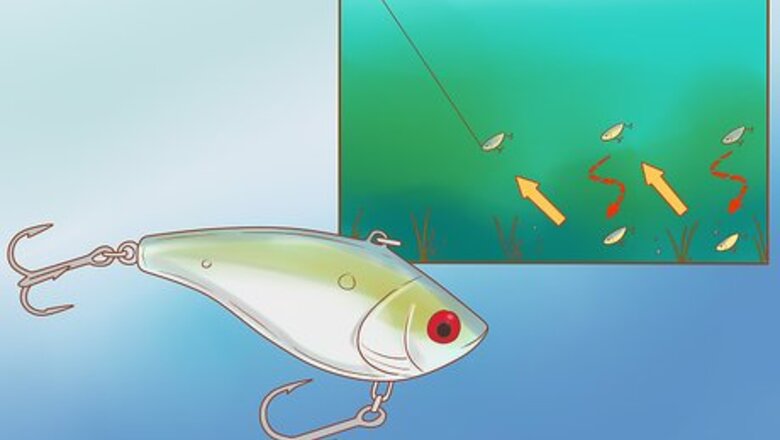 How to Use Crank Baits