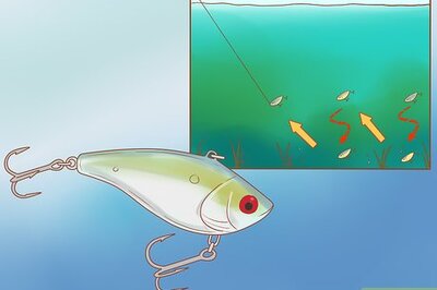 How to Use Crank Baits