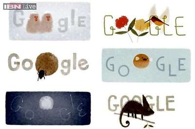 Rufous Hummingbird, veiled chameleon, dung beetle, Japanese macaque, moon jellyfish, puffer fish in 6-in-1 Earth Day Google doodle