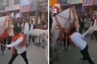 Horse's 'Flying' Kick To Man During Baraat Procession Will Make You ROFL