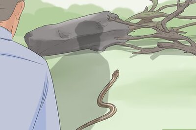 How to Avoid Snakes