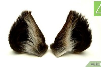 How to Make Wolf Ears