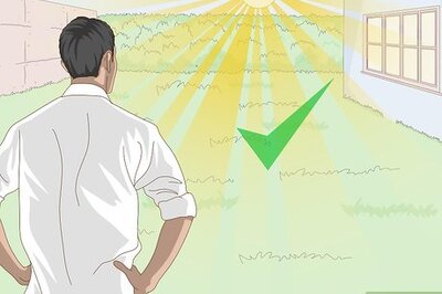 How to Build an Outdoor Turtle Enclosure