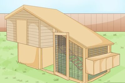 How to Set Up a Chicken Coop