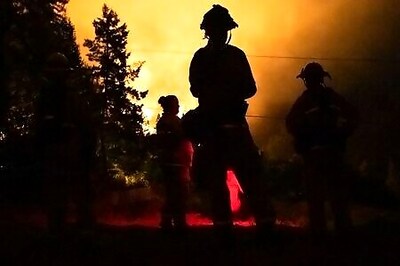 Most Condors Survive California Wildfire That Destroyed Sanctuary