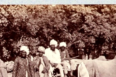 WATCH: How India's Last Cheetahs Were 'Hunted and Maimed' Before Their Extinction