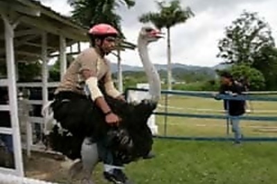 MTV Roadies: Three friends gear up for the last journey