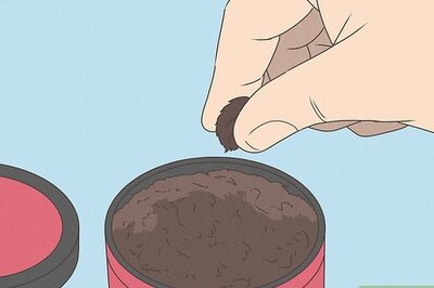 How to Take and Store Snuff