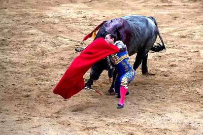 Spanish Bullfighter Dies After Being Gored