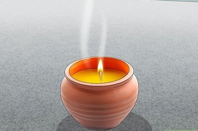 How to Naturally Deter Scorpions