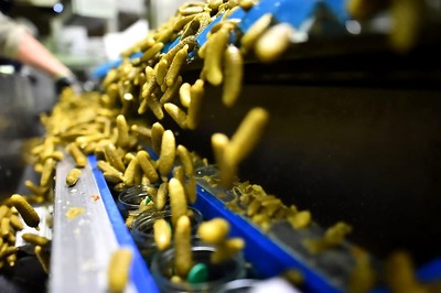 How a French Cuisine Staple Became an Indian Cash Crop