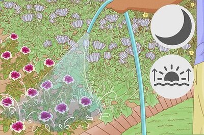 How to Care for Landscape Plants