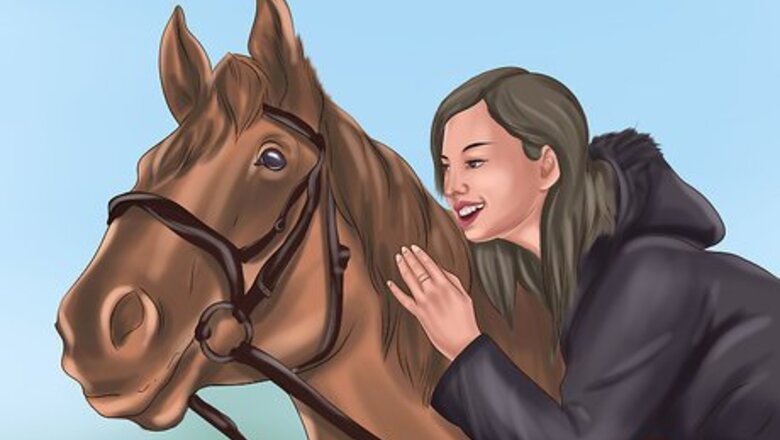 How to Stop a Horse That Tries to Buck