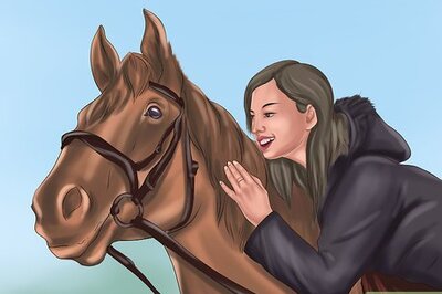 How to Stop a Horse That Tries to Buck