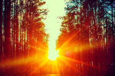 Aaj Ka Panchang, 25 May, 2024: Tithi, Vrat, and Today’s Shubh, Ashubh Muhurat