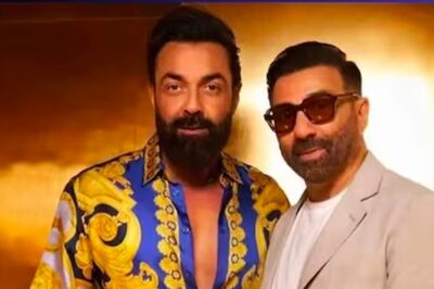 How Bobby and Sunny Deol Ruled The Box Office This Year