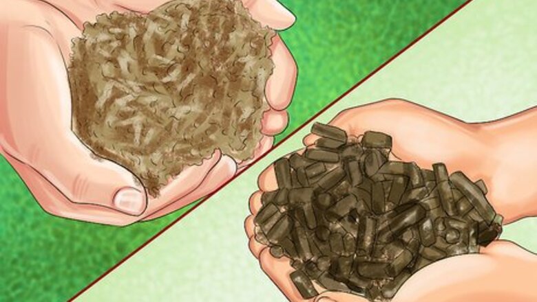 How to Feed Sugar Beet to a Horse