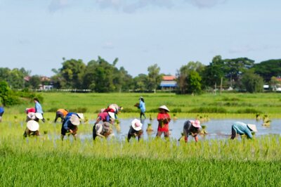RSS-affiliate Farmers' Body to Stage Nationwide Dharna Against Agri Laws on September 8