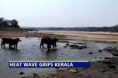 Heat wave in Kerala; humans, animals bear the brunt