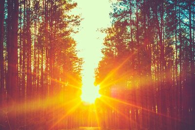 Aaj Ka Panchang, December 26, 2023: Tithi, Vrat, Rahu Kaal, and Other Details