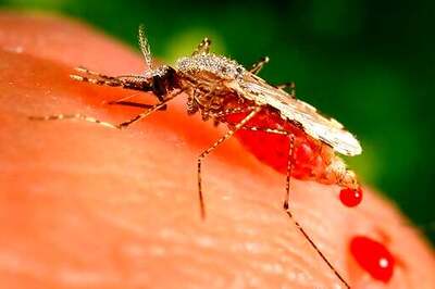 Researchers Detect Malaria Resistant To Key Drug In Africa