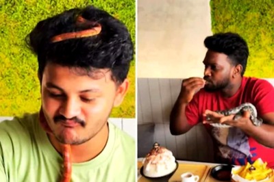 This Unique Malaysian Cafe Gives Snakes To Customers With Desserts