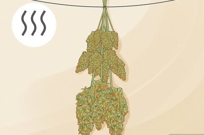 How to Dry and Cure Cannabis