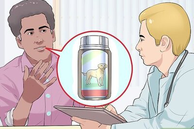 How to Treat Metabolic Disease in Older Dogs