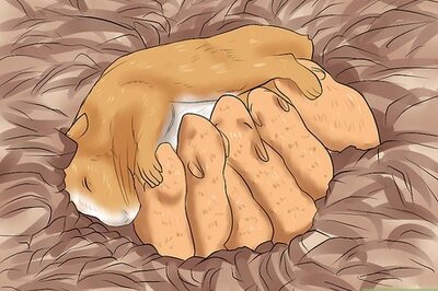 How to Learn When to Separate Hamsters