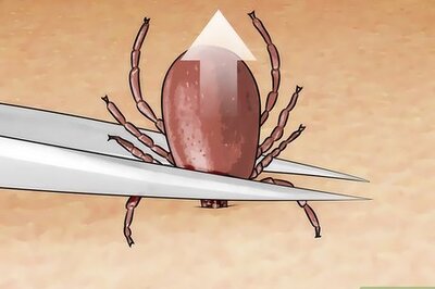 How to Kill a Tick