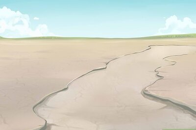 How to Find Drinking Water in the Desert