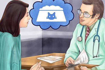 How to Feed Your Cat Natural Foods